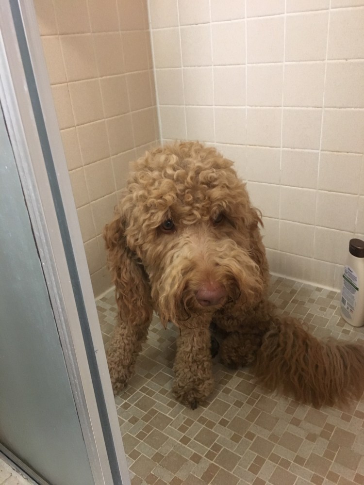 E7FA3059-24E6-422F-847F-629CD273E07D