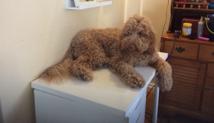 B38F50A1-538E-4B3D-9EE2-00B3CC78B810